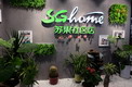 Ѳ꣺չSGhome